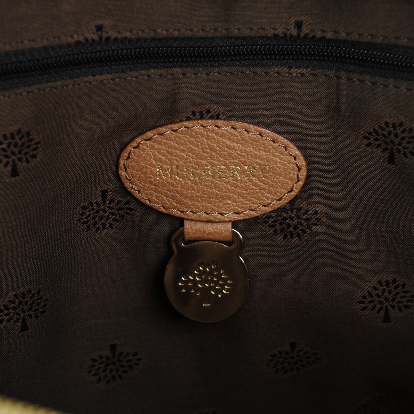 Glossy Goatskin Medium Del Rey Satchel Deer Brown