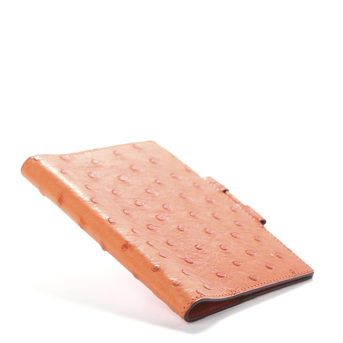 Ostrich Vision Agenda Cover PM Orange