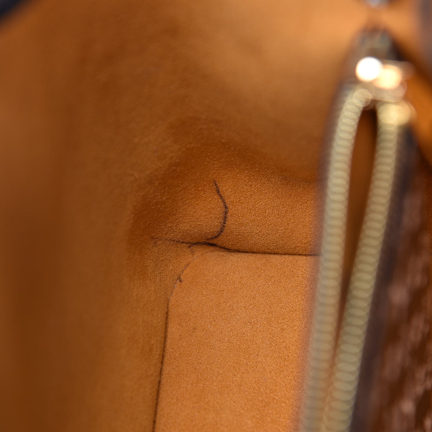 Monogram Giant Jungle NéoNoé Caramel