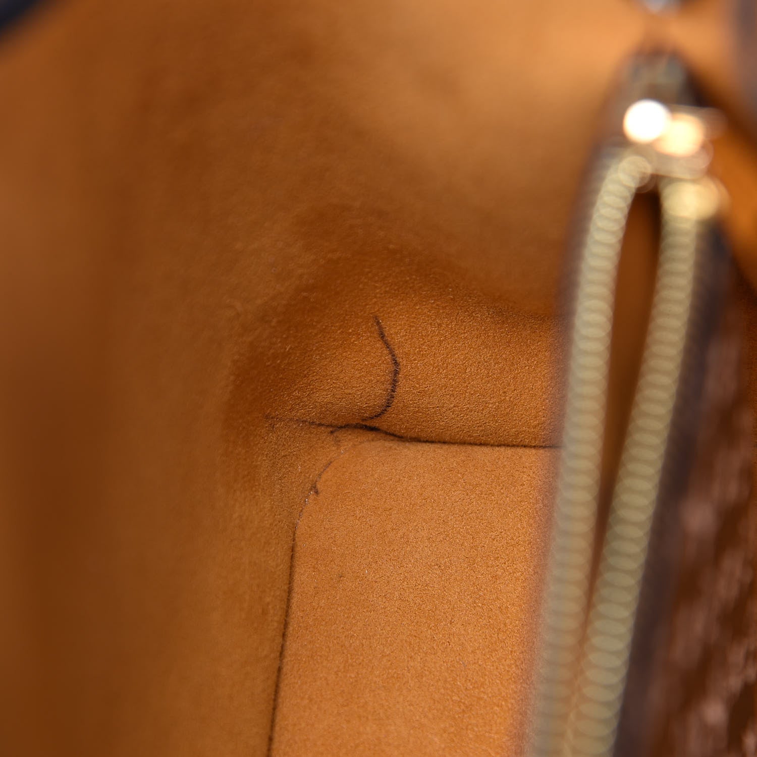 Louis Vuitton Monogram Giant Jungle NéoNoé Caramel 10 of 12