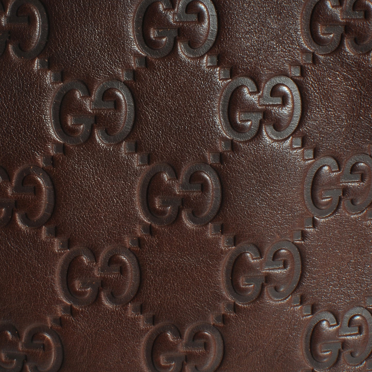 Guccissima Jockey Boston Brown