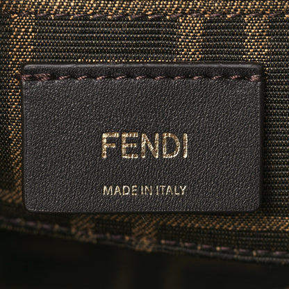 Fendi Vitello King Plexiglass Logo Embossed Mini By The Way Top Handle Boston Bag Tortora 5 of 8