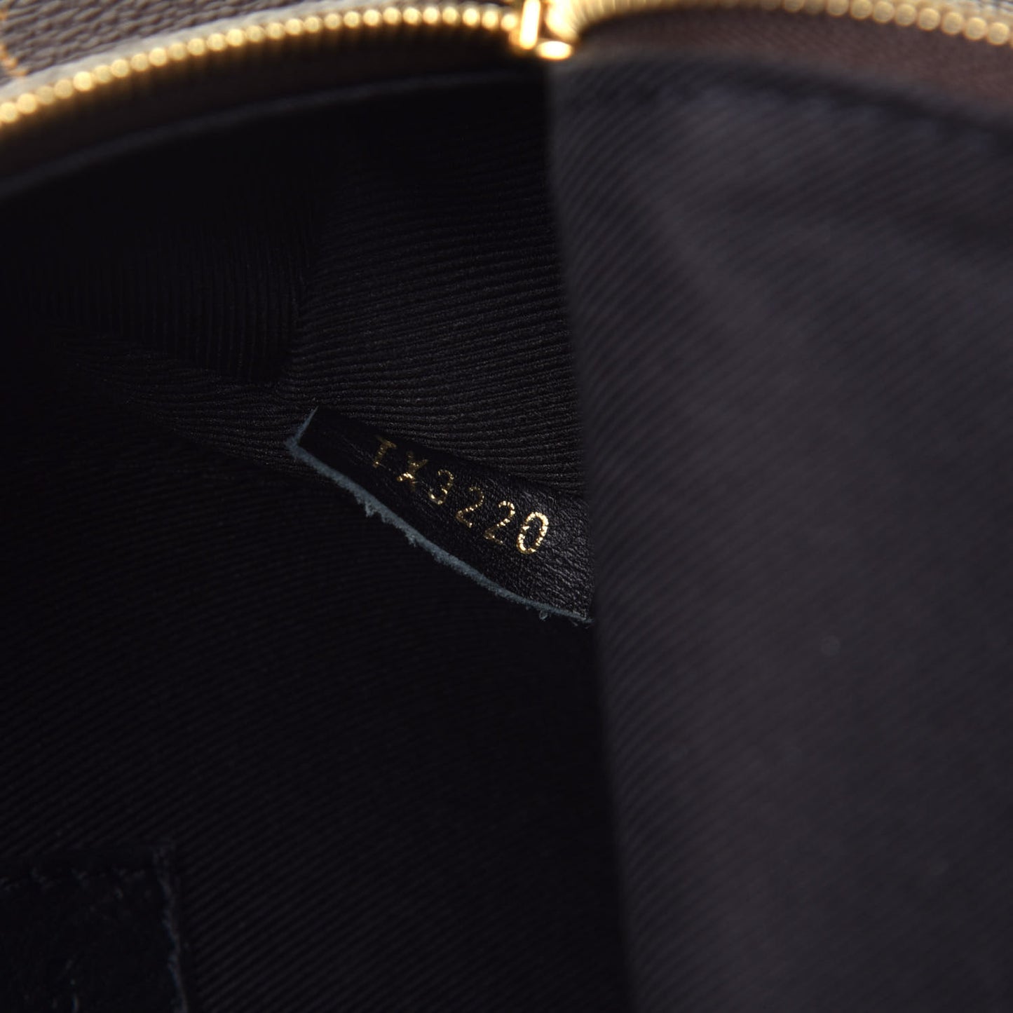 Monogram Palm Springs Backpack Mini