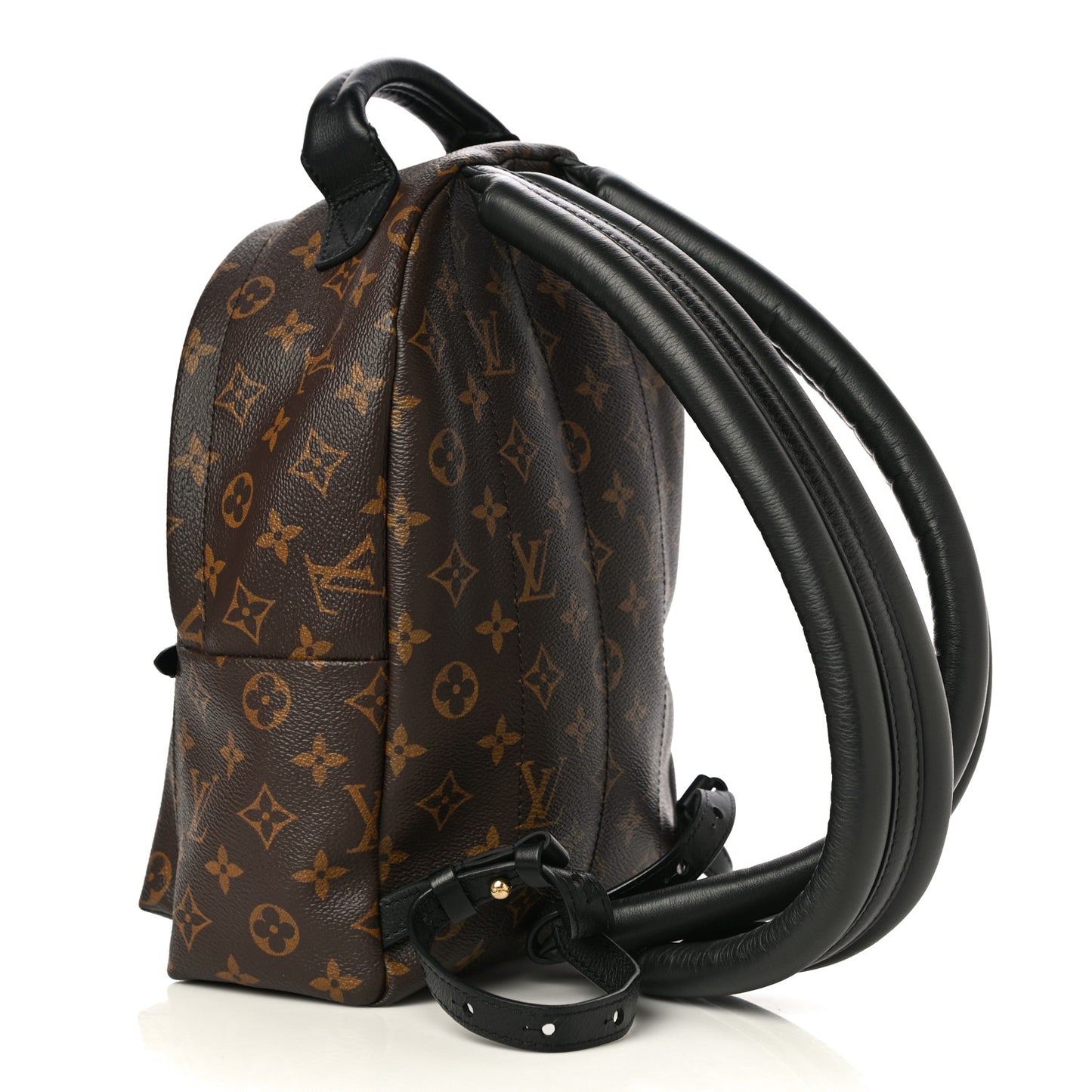 Monogram Palm Springs Backpack PM