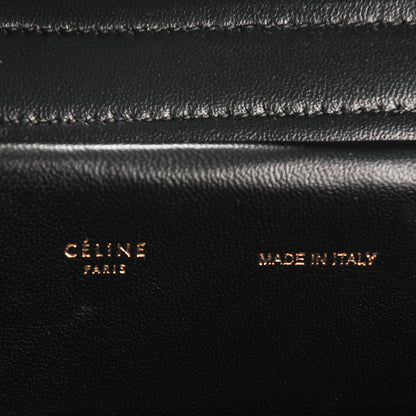 Celine Python Medium Trapeze Black 6 of 8