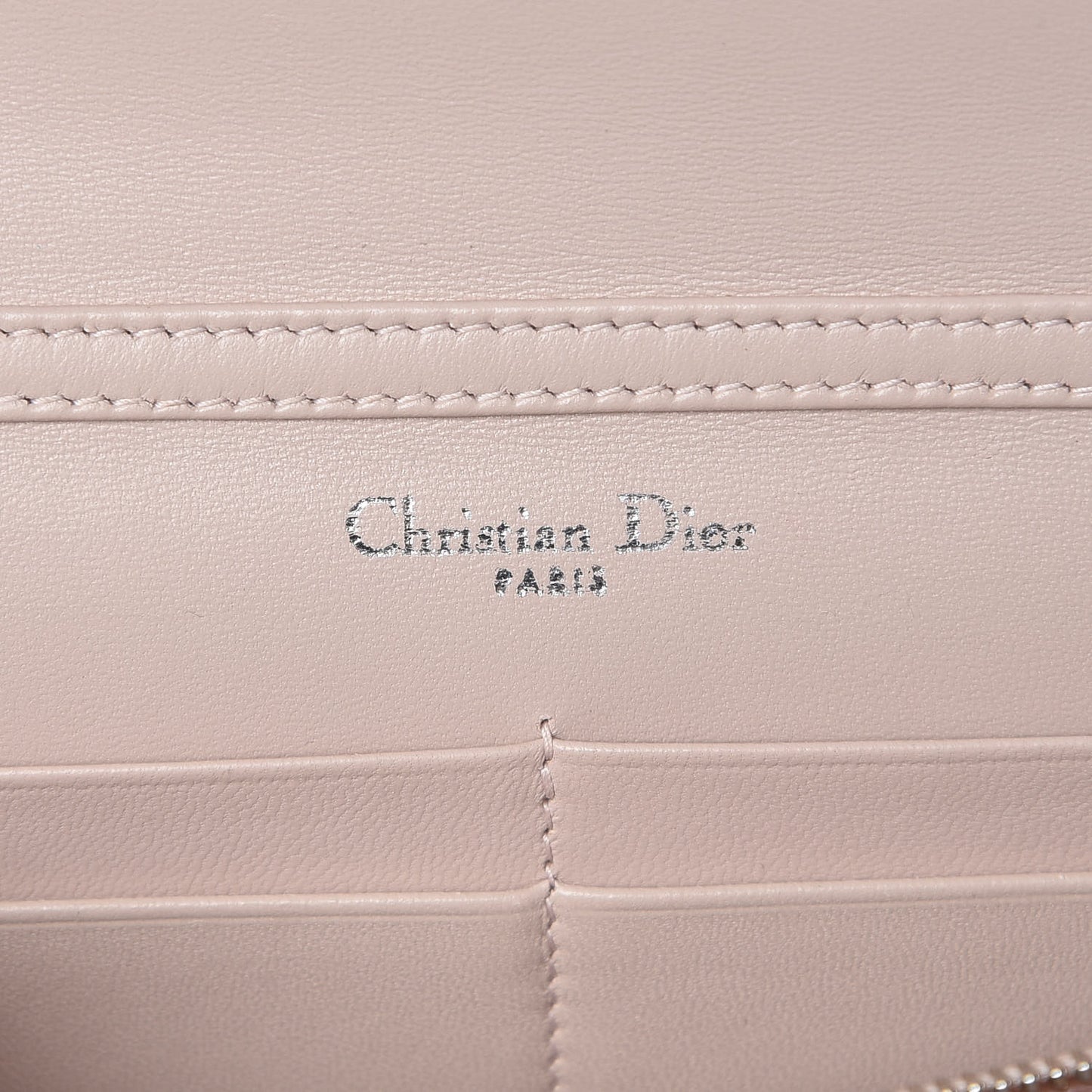Grained Calfskin Diorama Wallet on Chain Pouch Nude