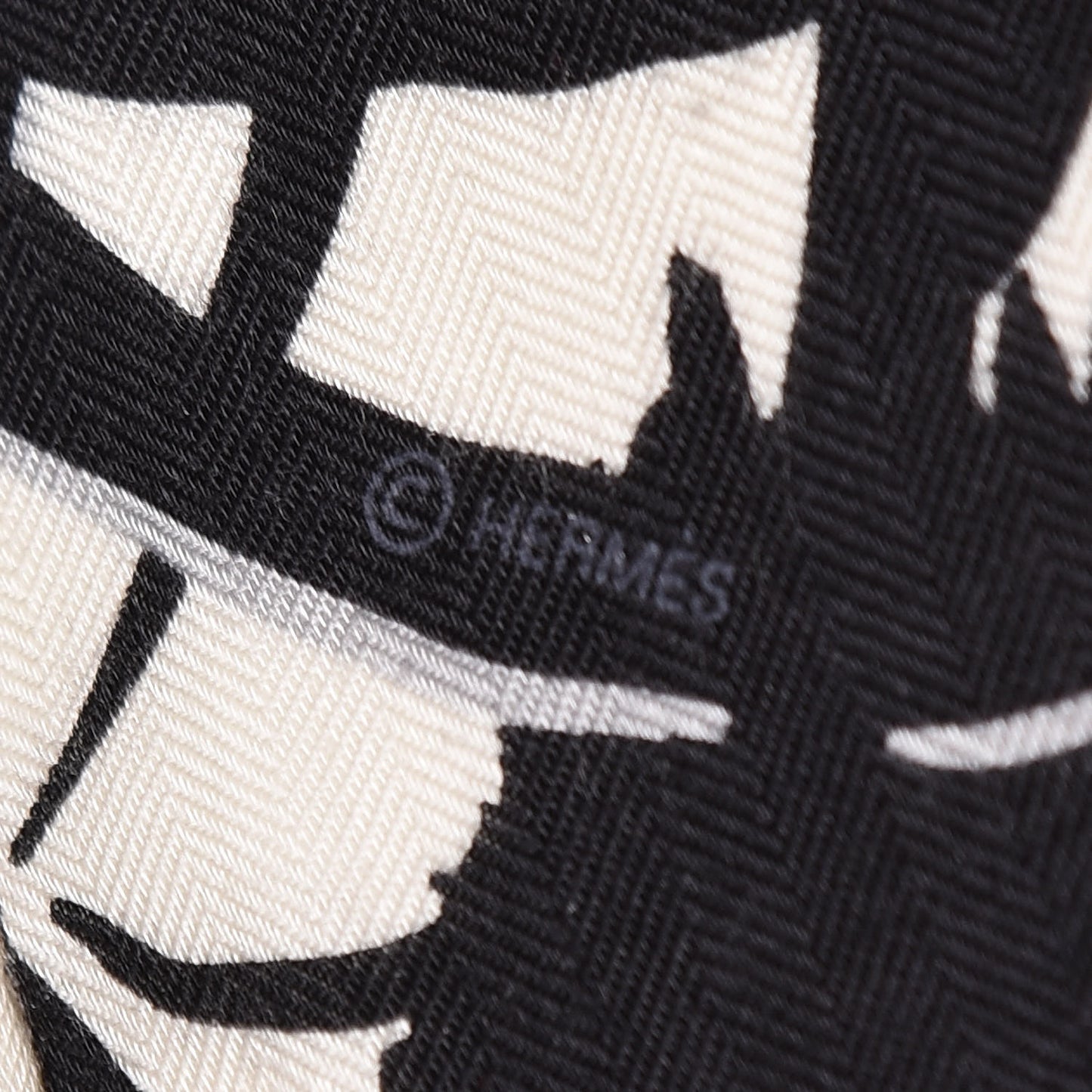 Cashmere Silk Tyger Tyger Shawl 140 Black White Gris
