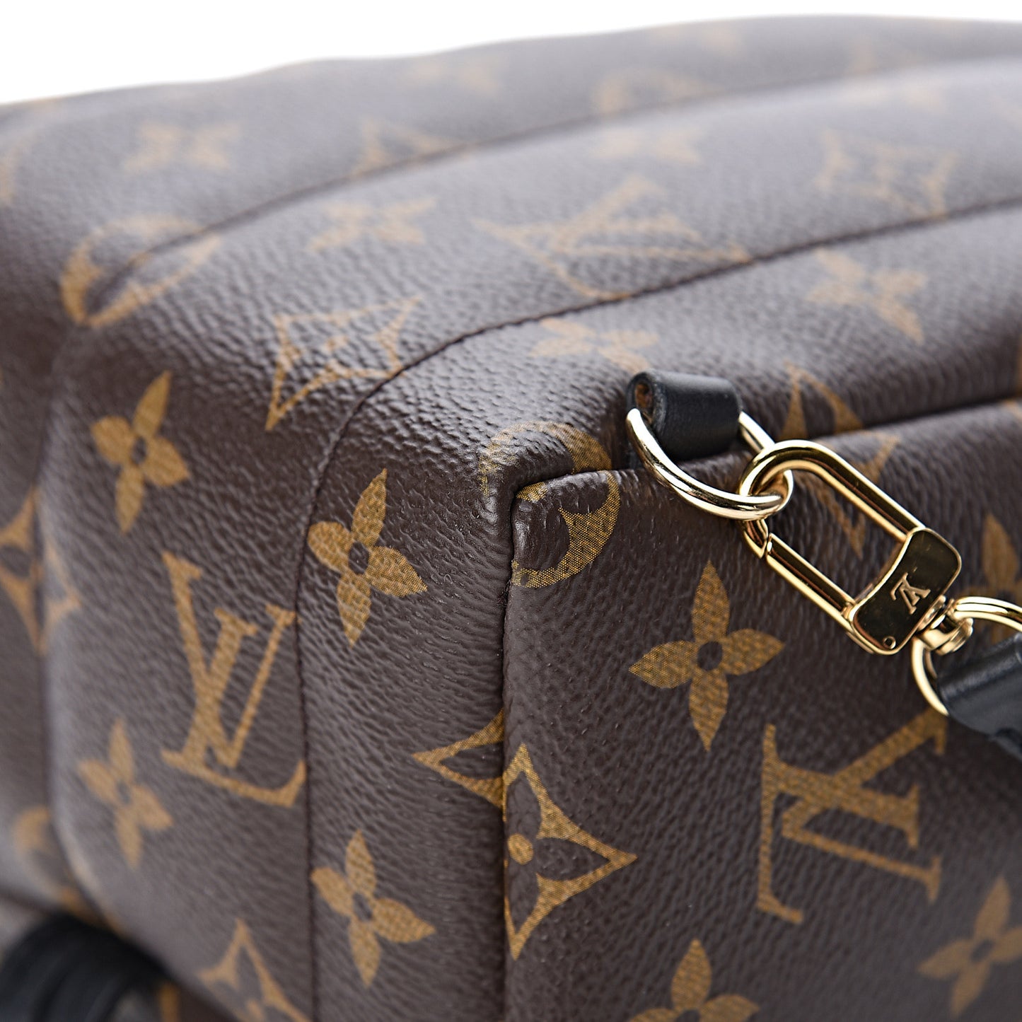 Monogram Palm Springs Backpack Mini