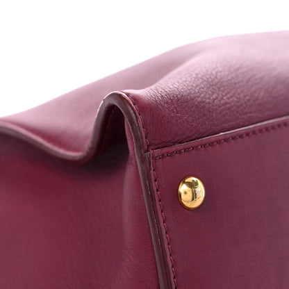 Fendi Vitello Dolce Marmol Large Peekaboo Iconic Satchel Bordeaux Graphite 8 of 17