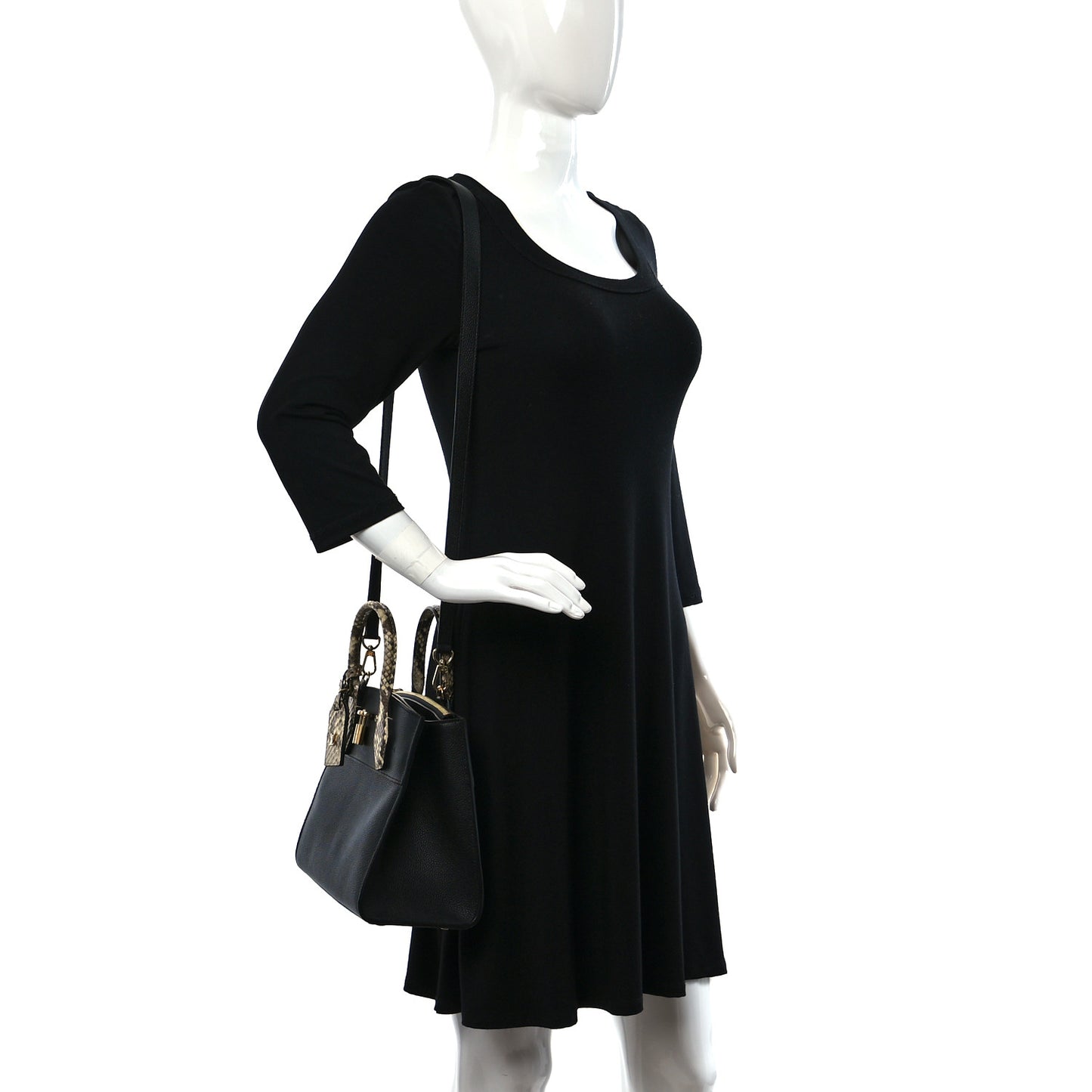 Taurillon Snakeskin City Steamer PM Black