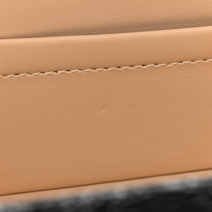 Louis Vuitton Midnight Canvas Petite Malle Black 12 of 12