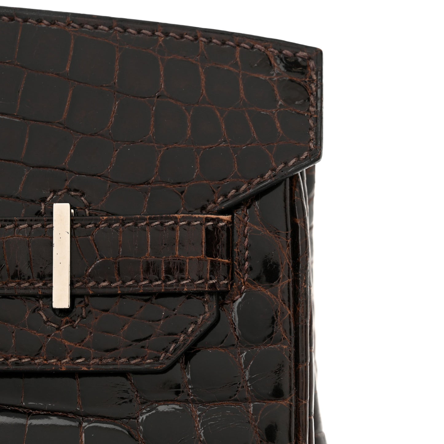 Shiny Niloticus Crocodile Birkin 30 Havane