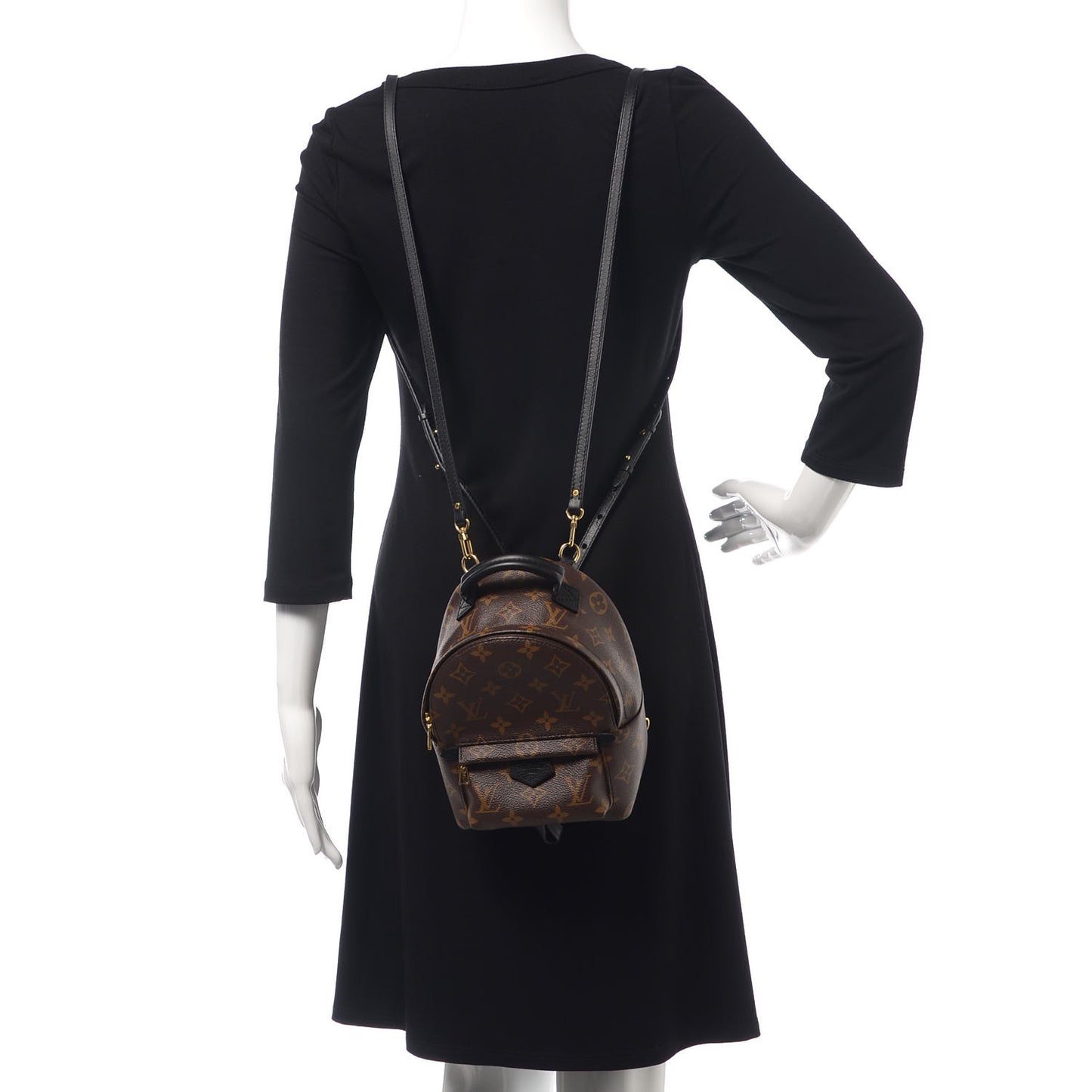 Monogram Palm Springs Backpack Mini