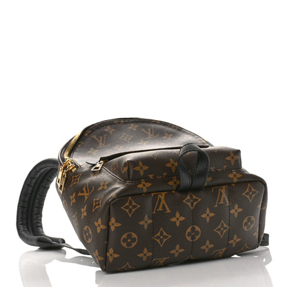 Louis Vuitton Monogram Palm Springs Backpack PM 4 of 8