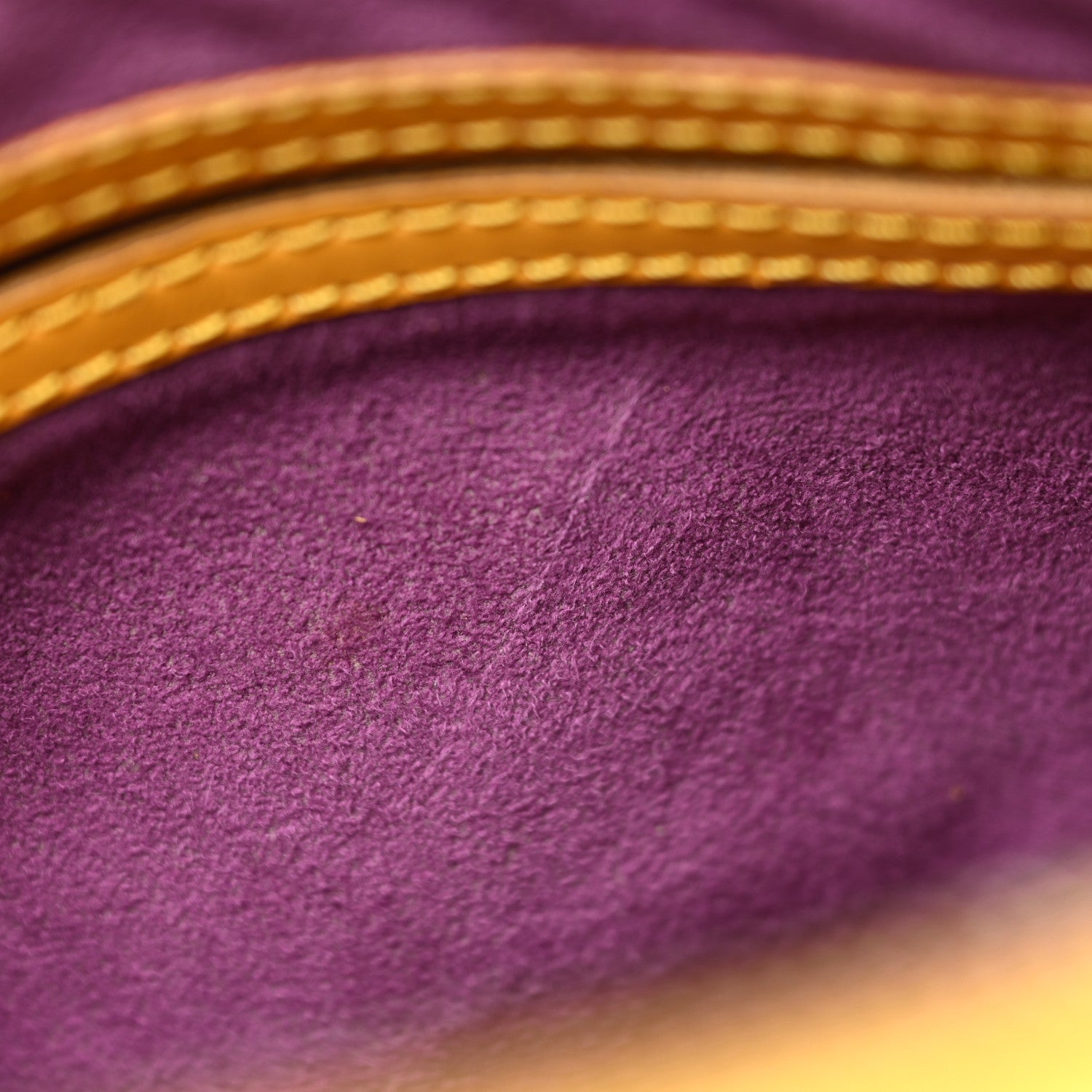 Louis Vuitton Epi Speedy 25 Tassil 11 of 22
