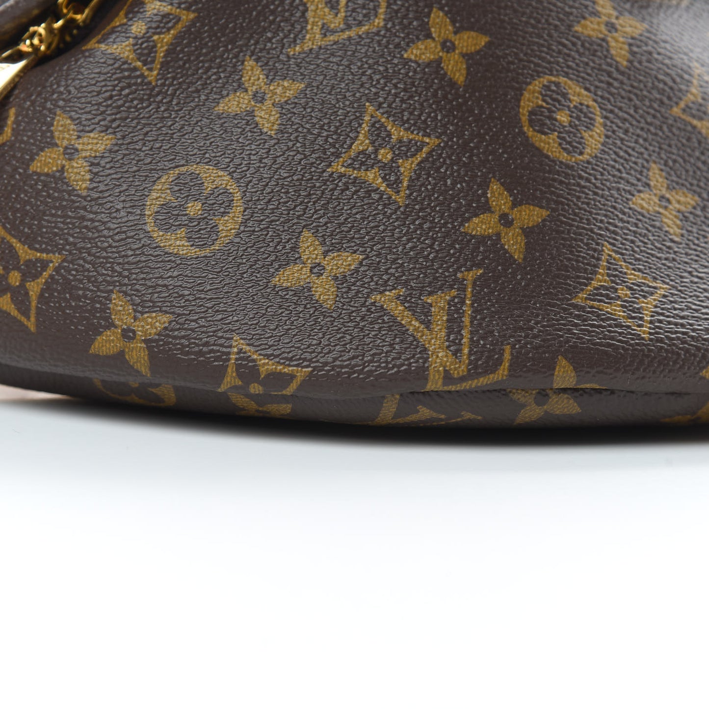 Monogram Bumbag