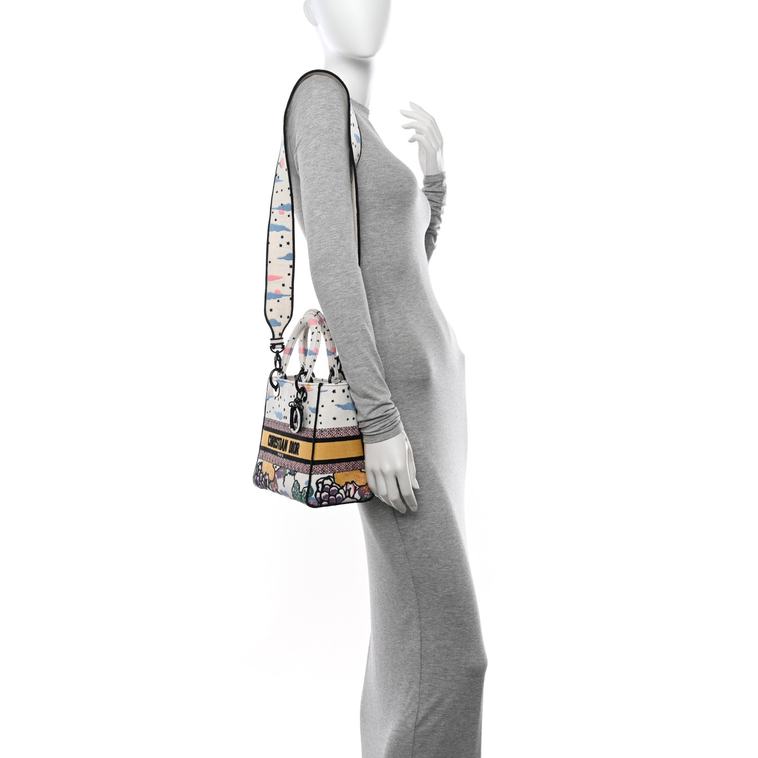 Christian Dior Canvas Embroidered Ciel De Reve Medium Lady D-Lite Latte Multicolor 2 of 11