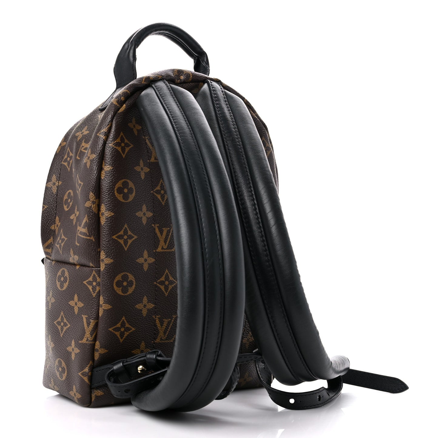 Monogram Palm Springs Backpack PM