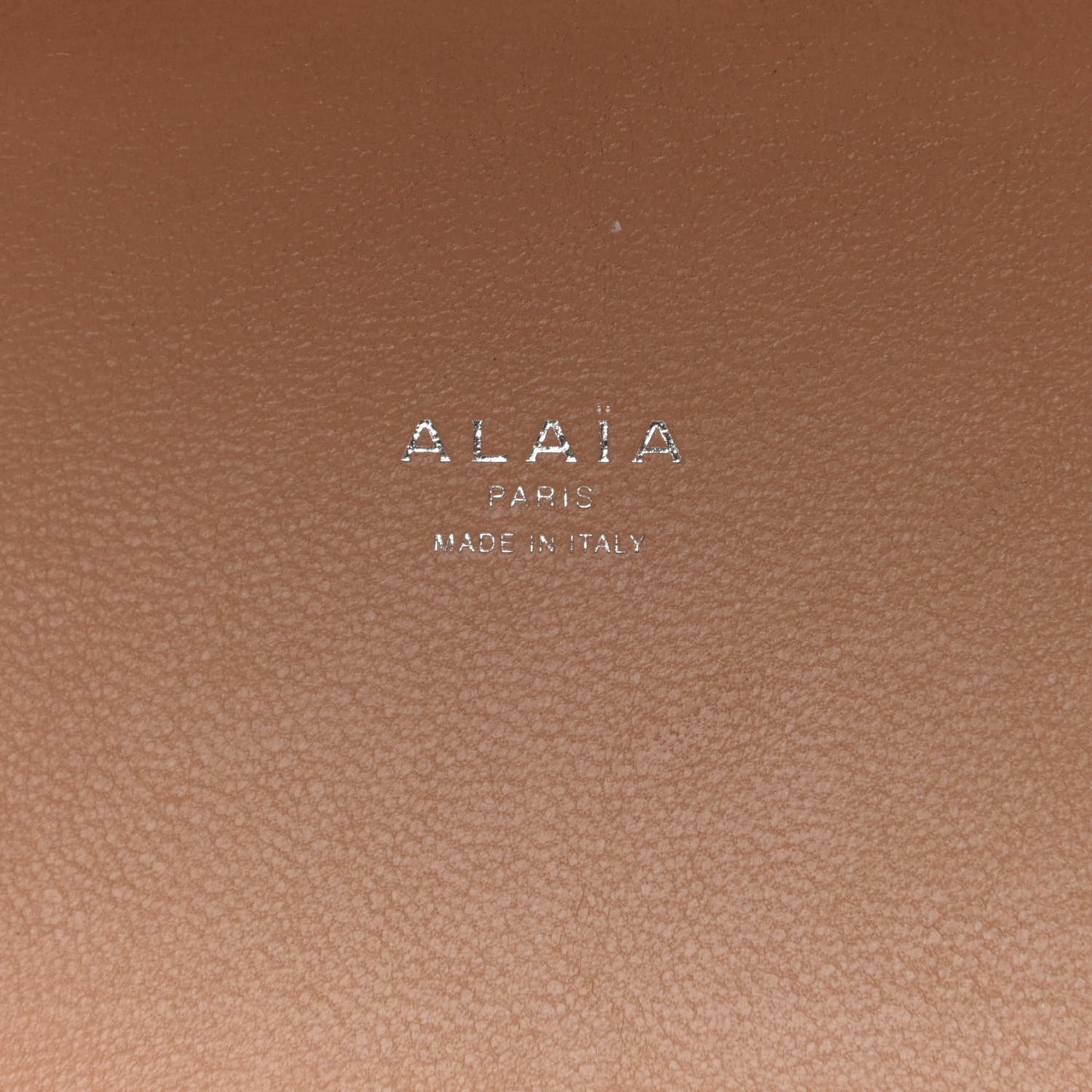 Lux Calfskin Vienne Wave Mina 20 Bag Sable
