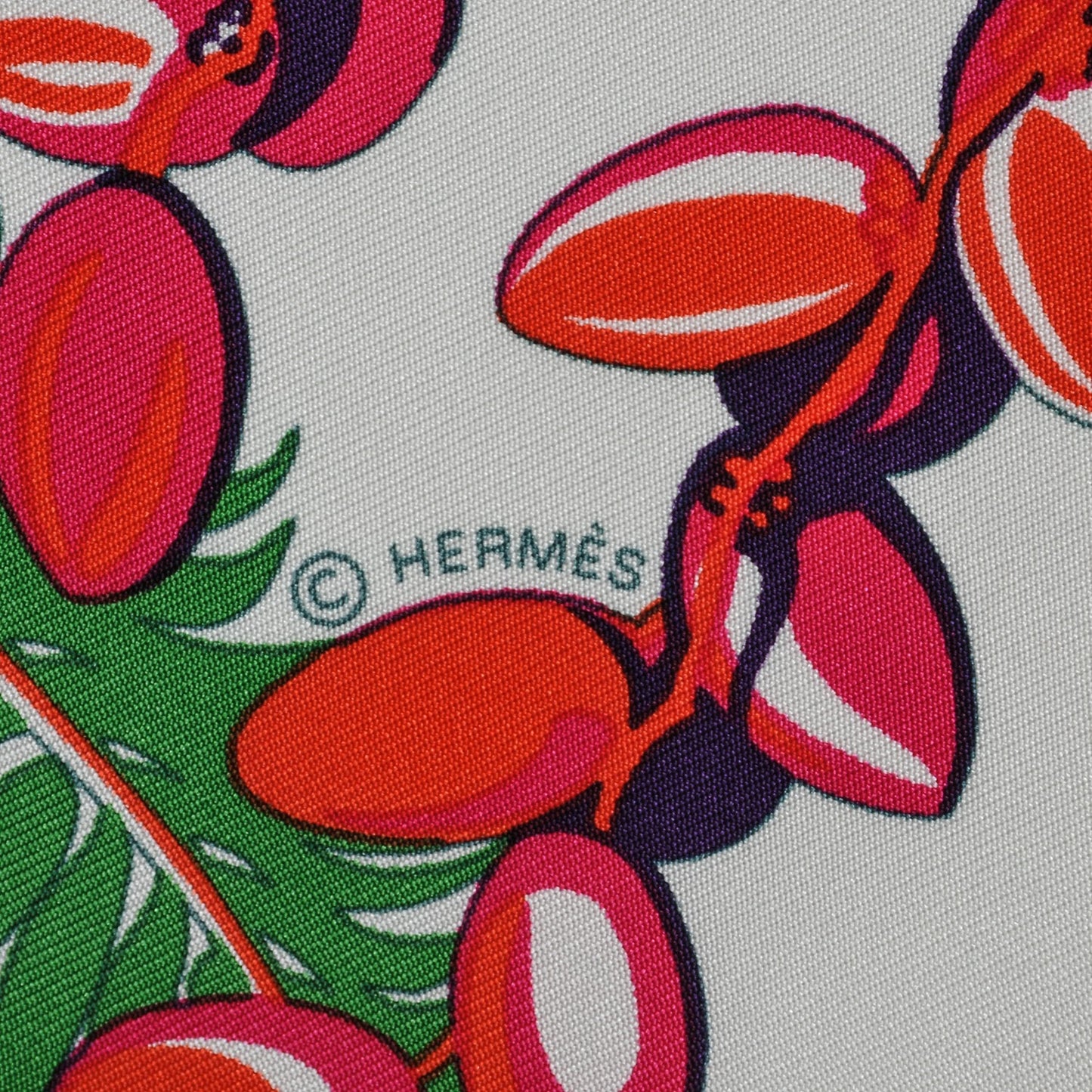 Silk Mythiques Phoenix Coloriage Scarf 90 Blanc Vert Rouge