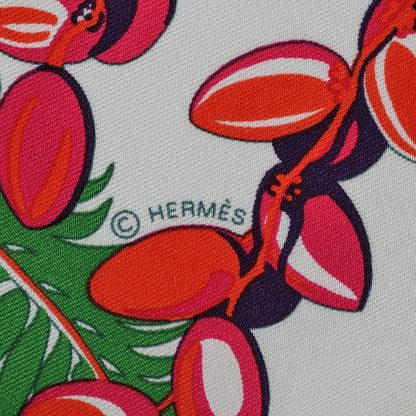 Hermes Silk Mythiques Phoenix Coloriage Scarf 90 Blanc Vert Rouge 4 of 6