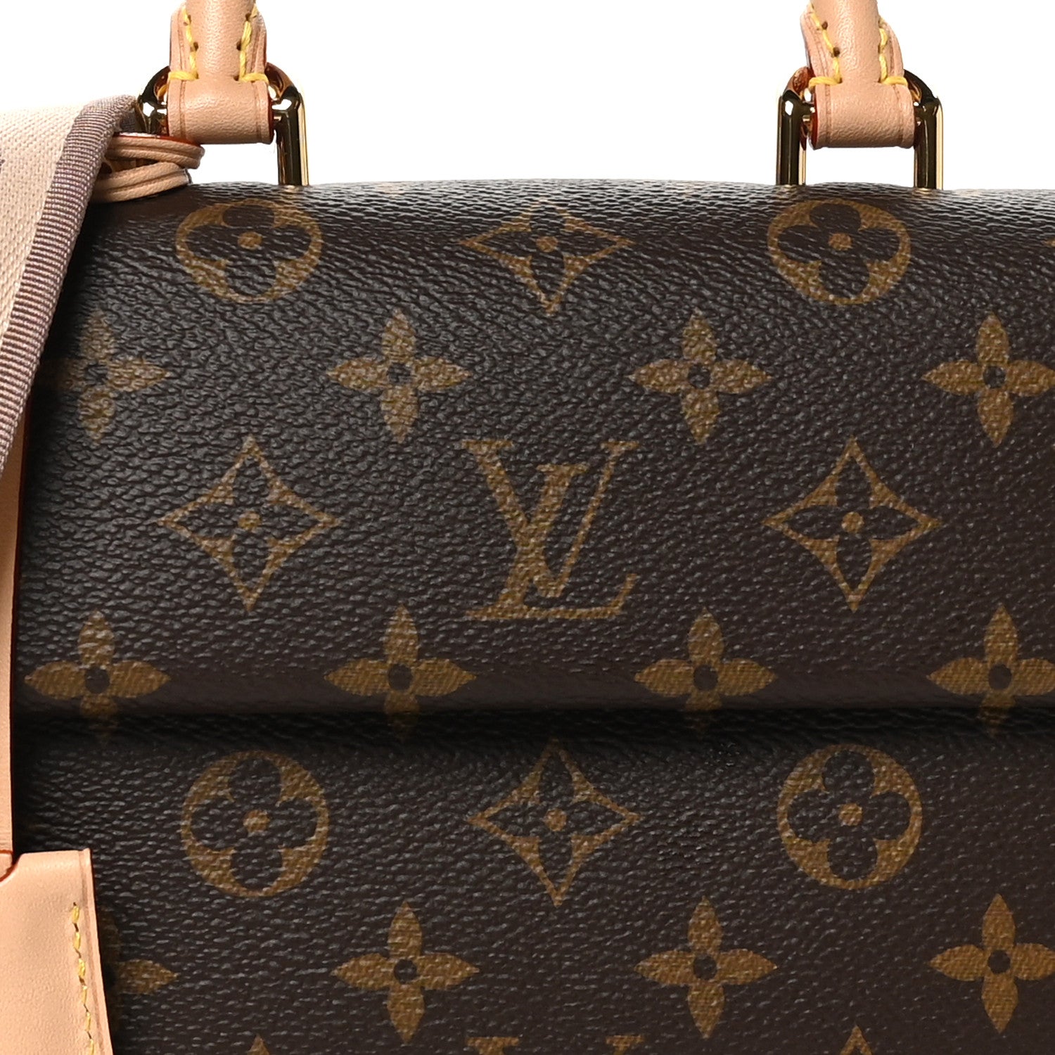 Louis Vuitton Monogram Mini Cluny 7 of 9