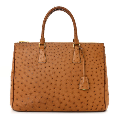 Prada Ostrich Large Galleria Double Zip Tote Cognac 1 of 16