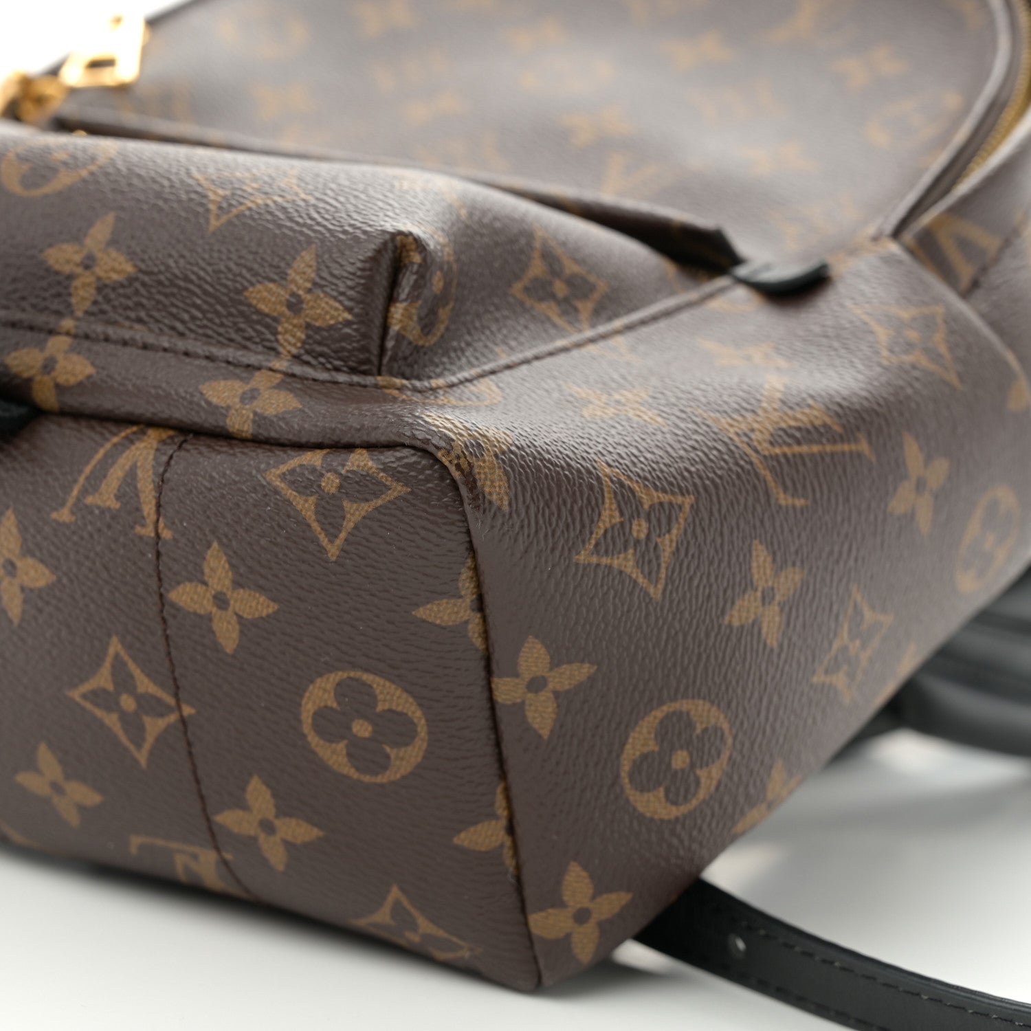 Louis Vuitton Monogram Palm Springs Backpack PM 9 of 9