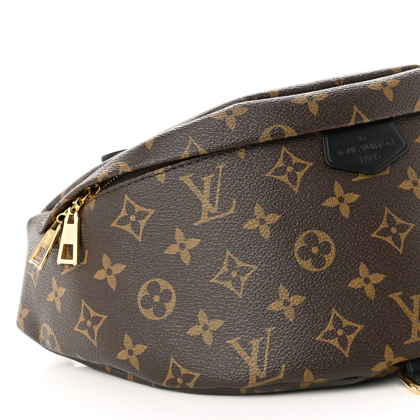 Monogram My LV World Tour Bumbag