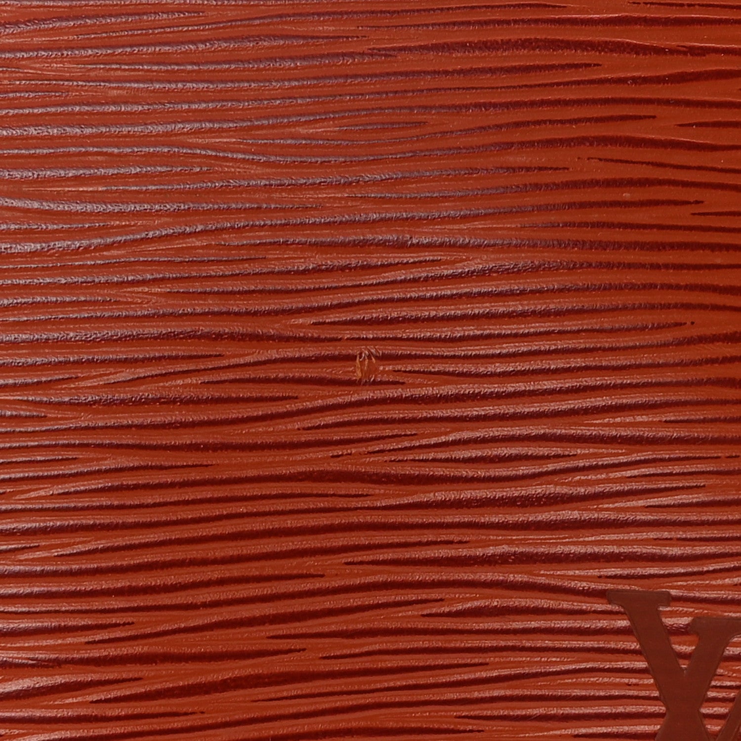 Louis Vuitton Epi Speedy 40 Kenyan Fawn 11 of 18