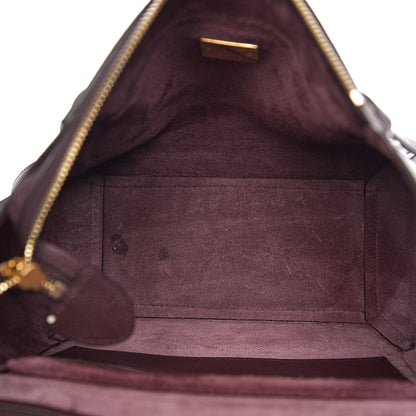 Celine Grained Calfskin Micro Belt Bag Burgundy 4 of 10