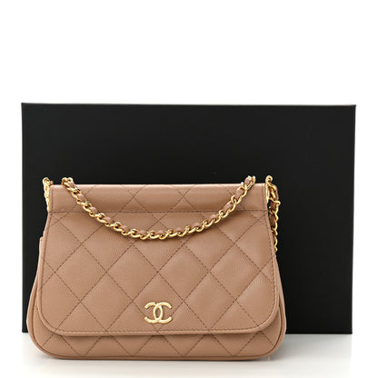 Chanel Caviar Quilted Flap Clutch With Chain Beige 12 of 12