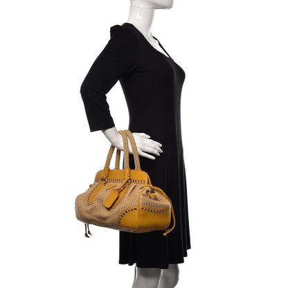 Prada Paglia Vitello Frame Satchel Naturale Mimosa 2 of 10