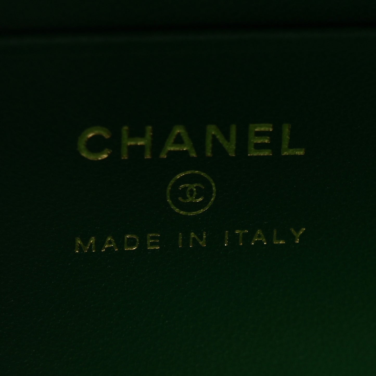 Calfskin Crocodile Embossed Crococo Exoticoco Vanity With Chain Emerald