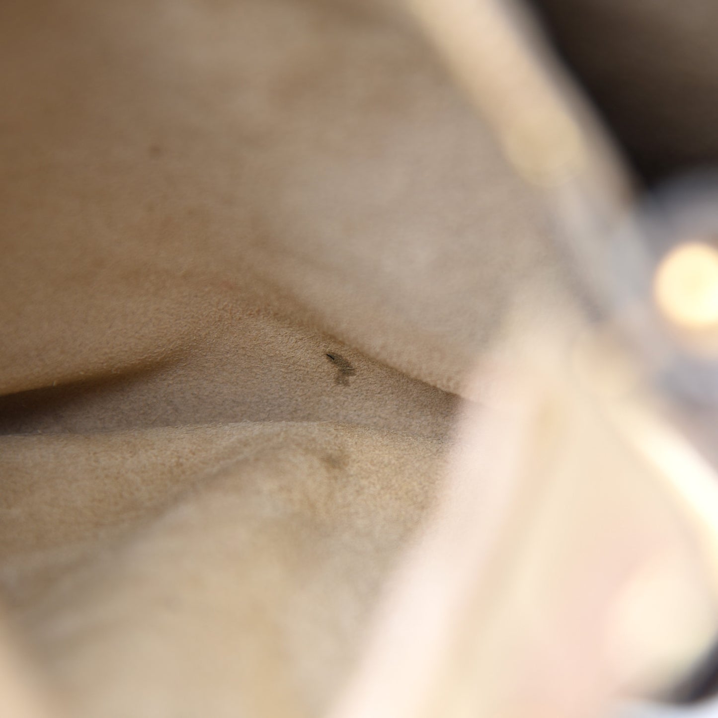 Grained Calfskin Small Hayley Hobo Nut