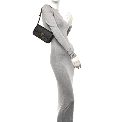 Celine Canvas Calfskin Triomphe Shoulder Bag Tan 2 of 11