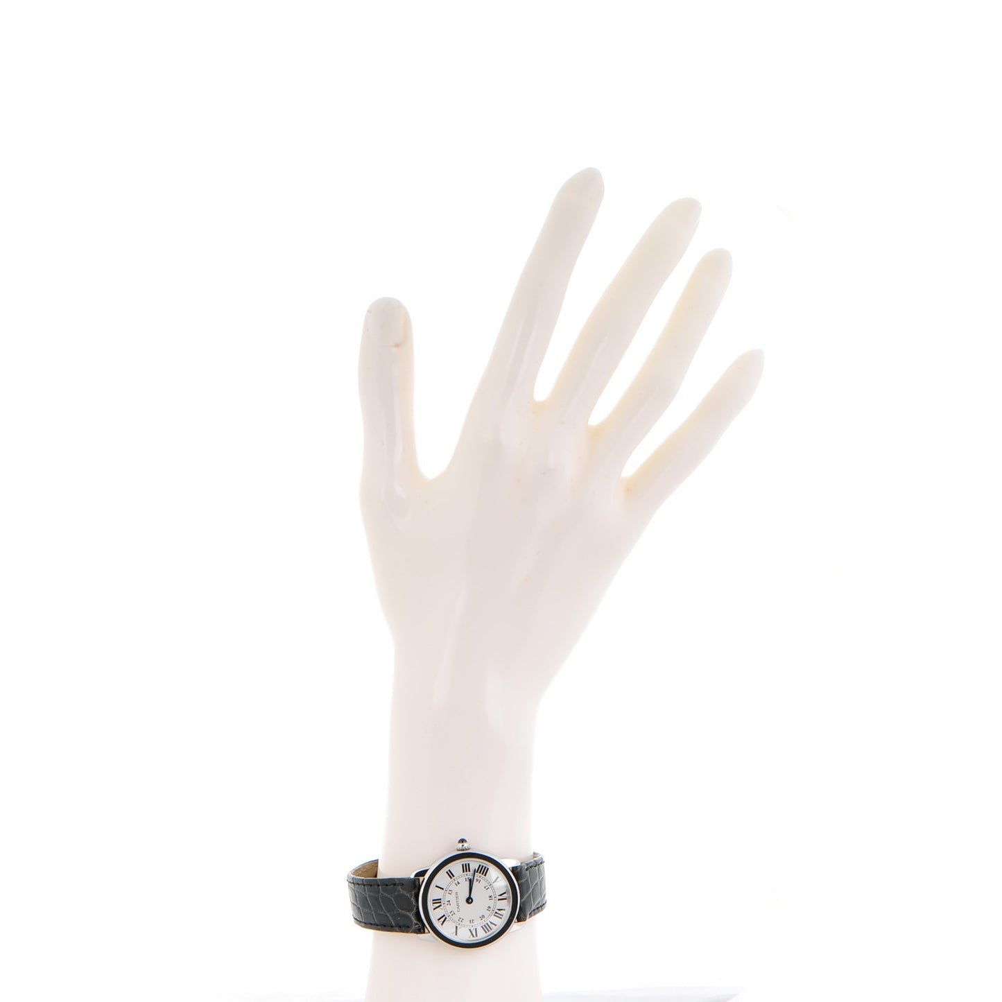Stainless Steel Alligator 29mm Ronde Solo Quartz Watch