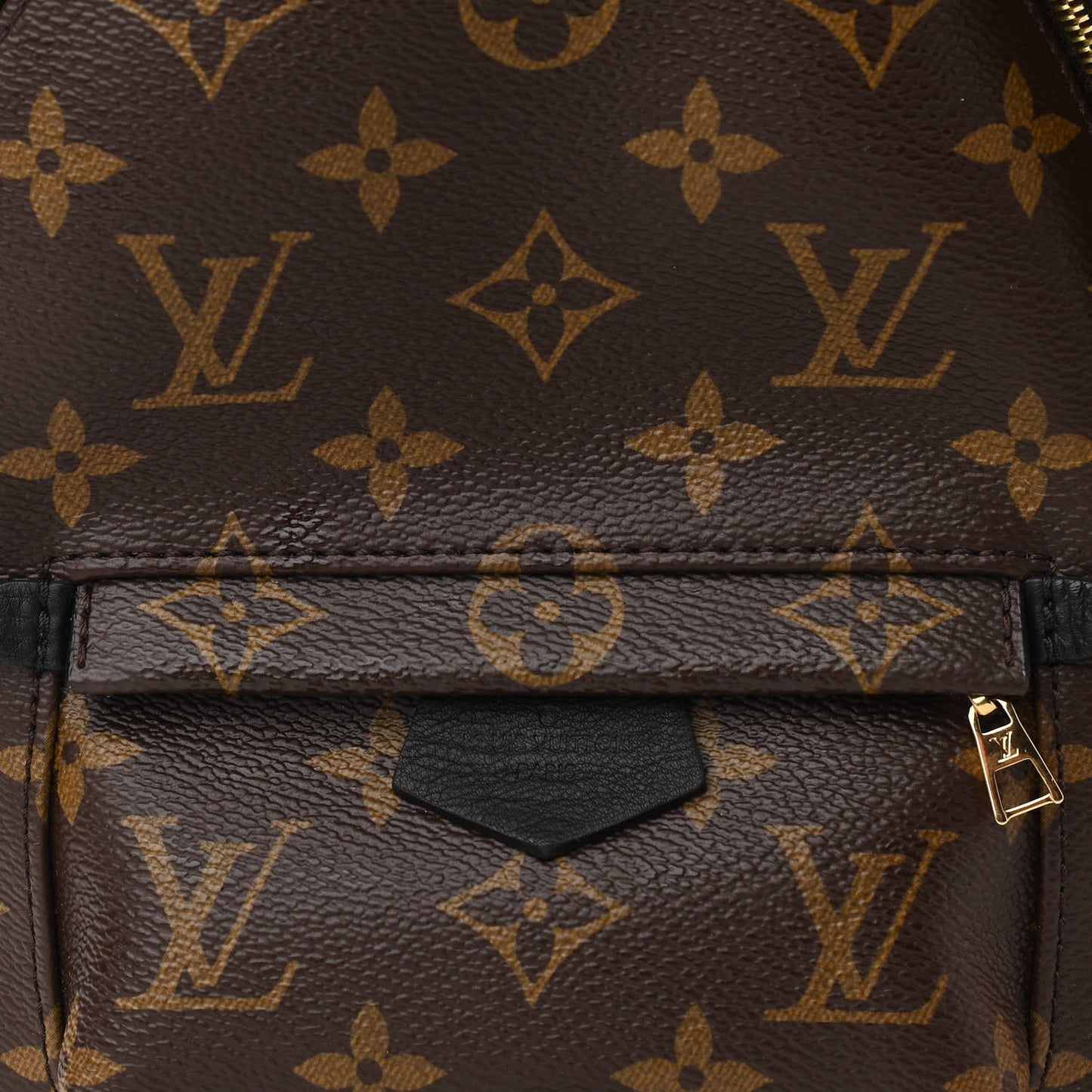 Monogram Palm Springs Backpack Mini