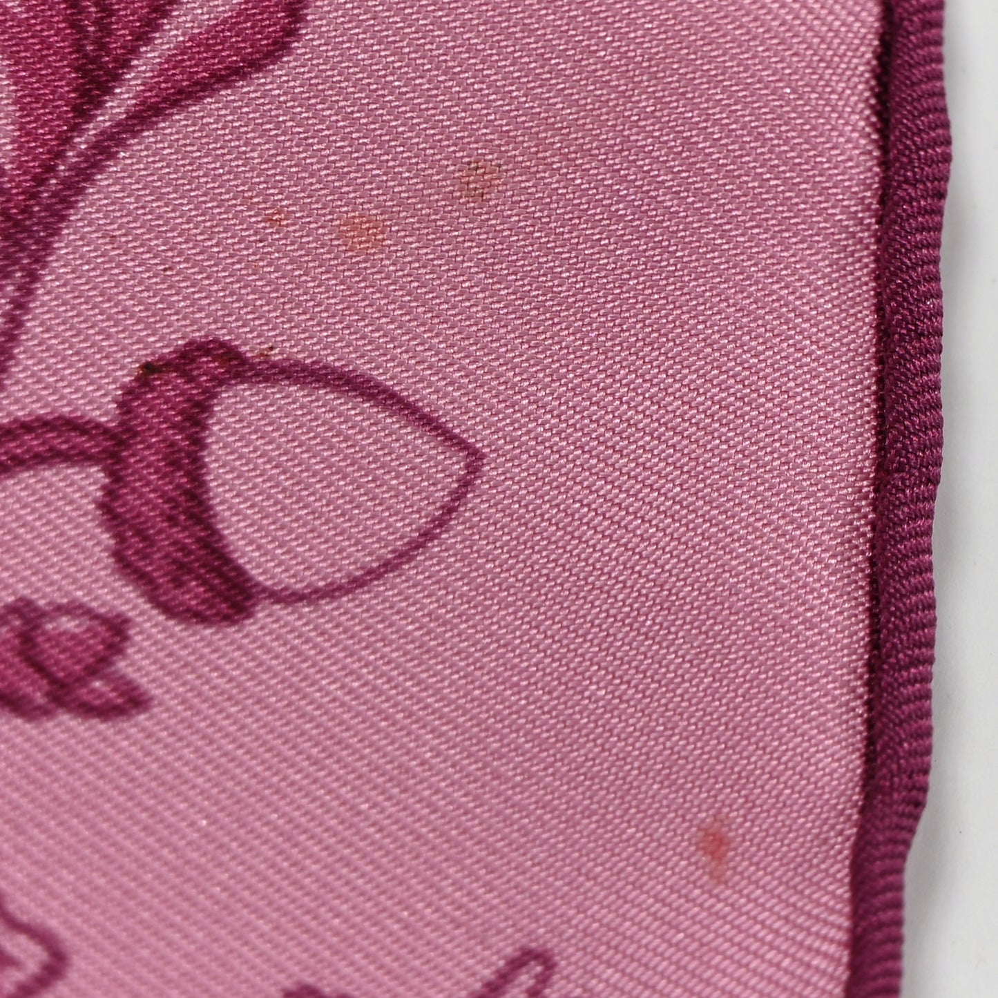 Silk Jardins Des Metamorphoses Scarf Pink