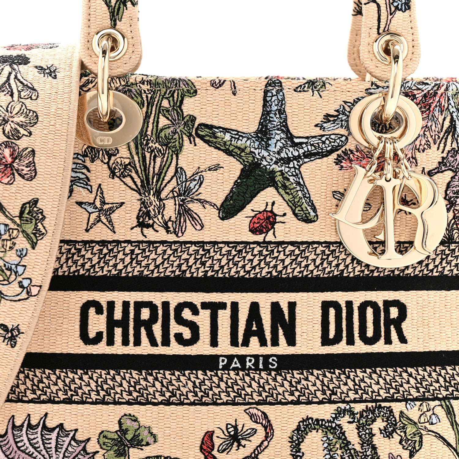 Christian Dior Canvas Cabinet De Curiosites Embroidered Medium Lady D-Lite Beige Multicolor 8 of 14