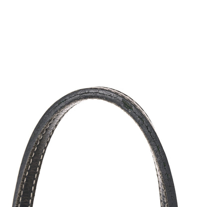 Goyard Goyardine Saint Louis PM Grey 26 of 26