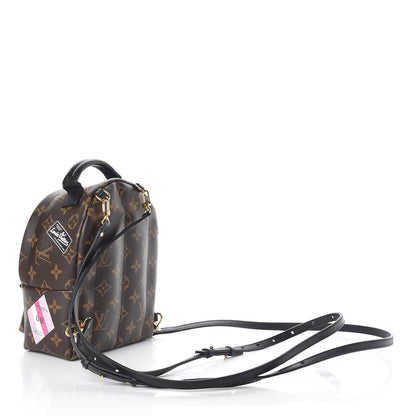 Louis Vuitton Monogram My World Tour Palm Springs Backpack Mini 3 of 10