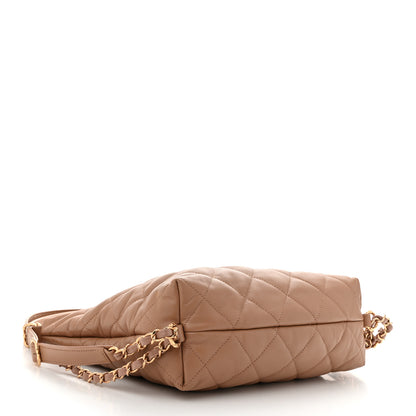 Chanel Lambskin Quilted Hobo Beige 4 of 10