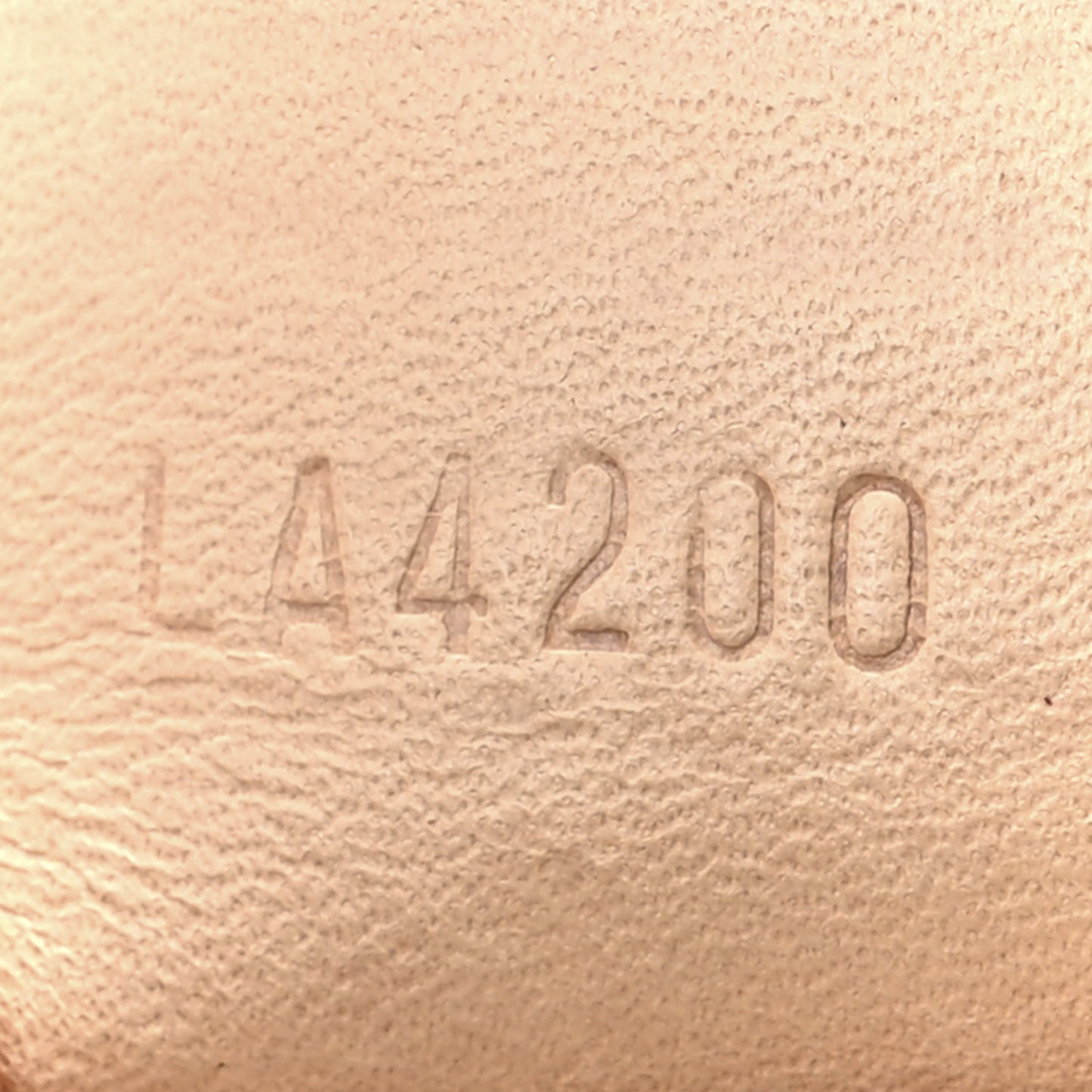 Monogram Nano Speedy