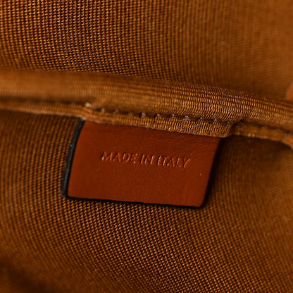 Celine Triomphe Canvas Calfskin Small Bucket Bag Tan 6 of 8