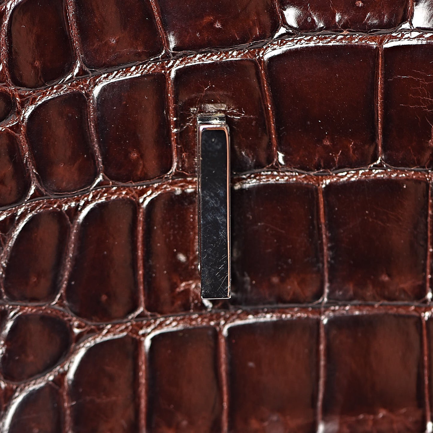 Shiny Porosus Crocodile Birkin 35 Cocoan