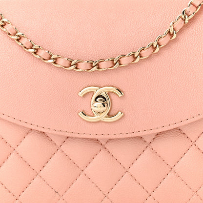 Chanel Iridescent Calfskin Smart Pocket Flap Bag Pink 8 of 10