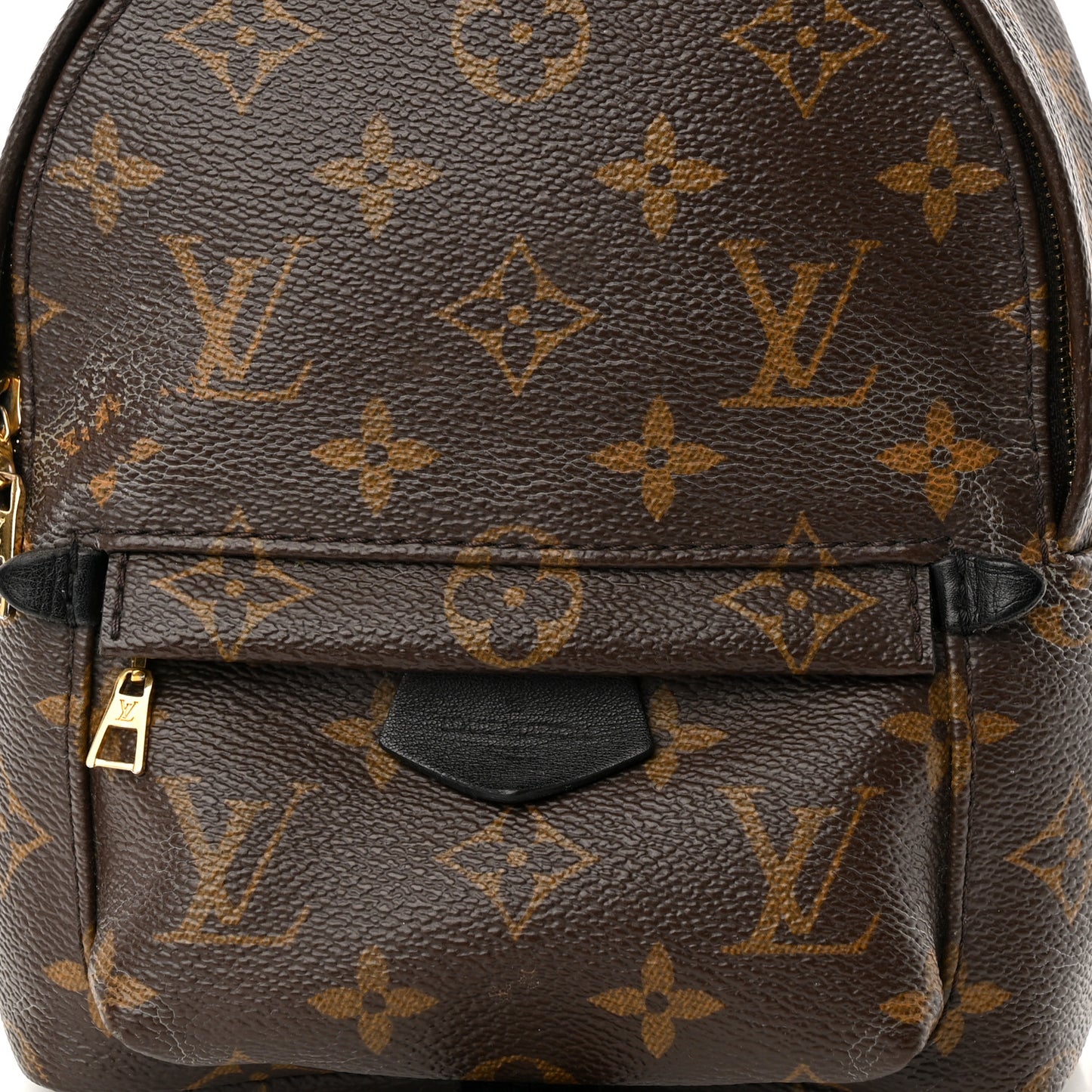 Monogram Palm Springs Backpack Mini