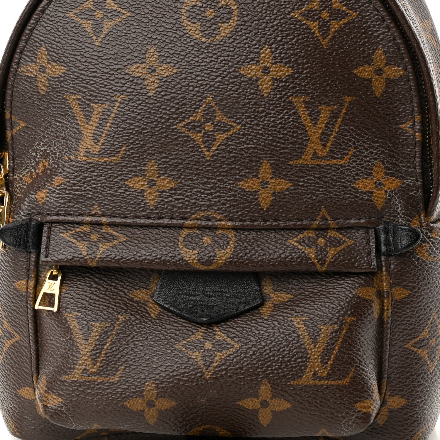 Louis Vuitton Monogram Palm Springs Backpack Mini 7 of 12