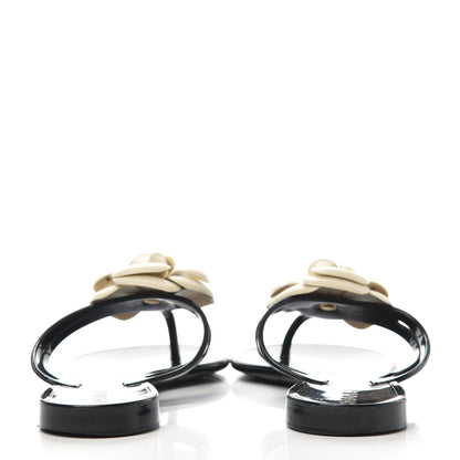 Chanel Jelly Camellia Thong Sandals 36 Black Ivory 7 of 10